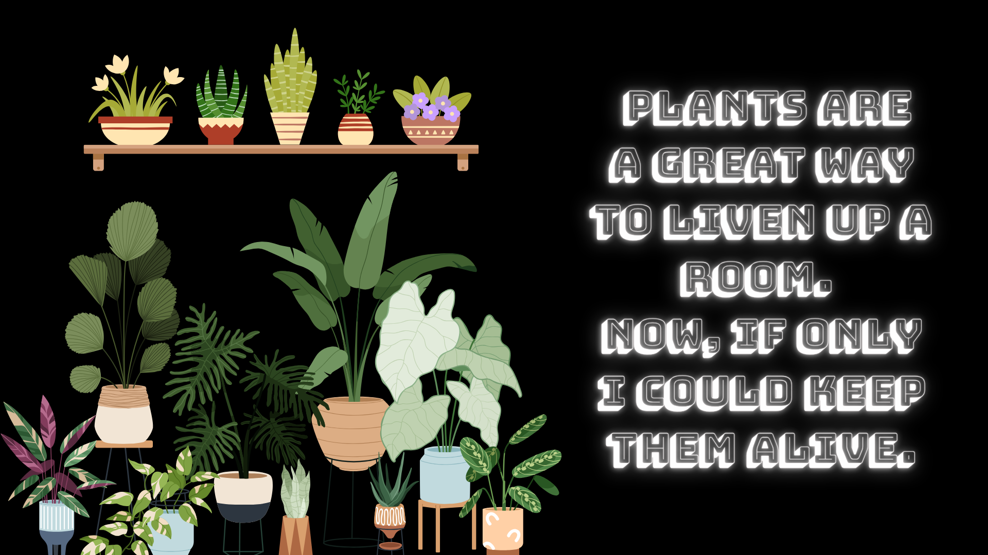 Houseplants on black with a humorous plant-care message