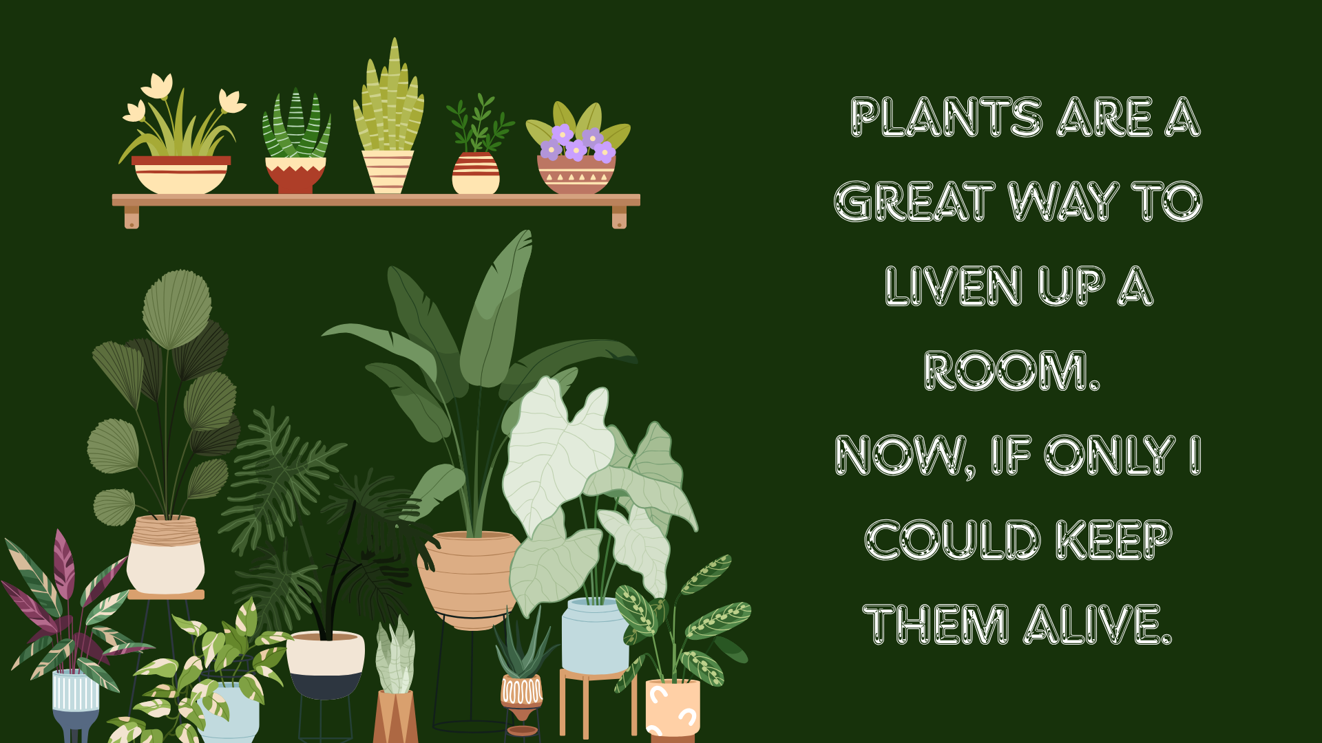 Houseplant collection with a humorous plant-care message