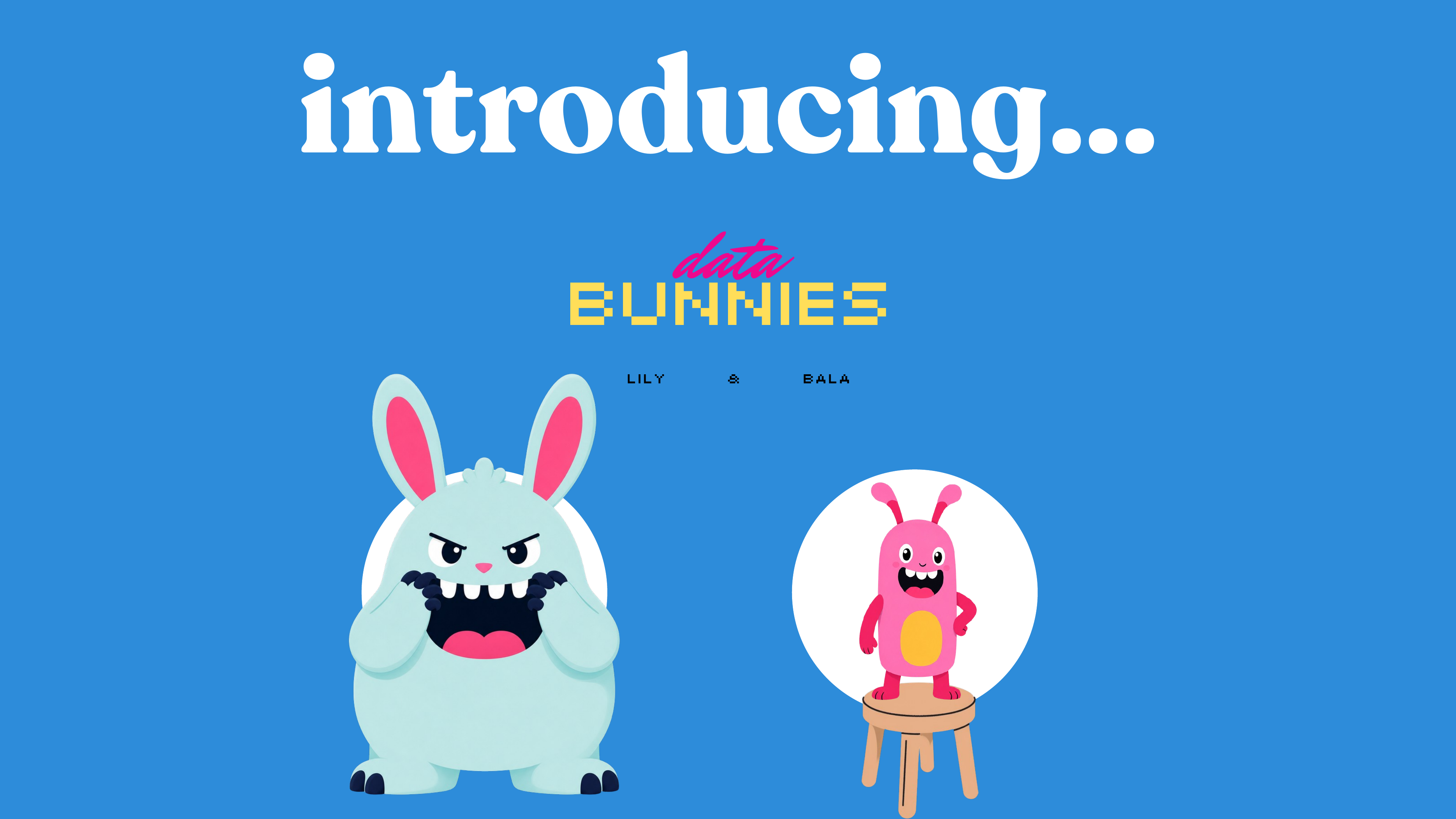 Introducing Data Bunnies Lily and Bala
