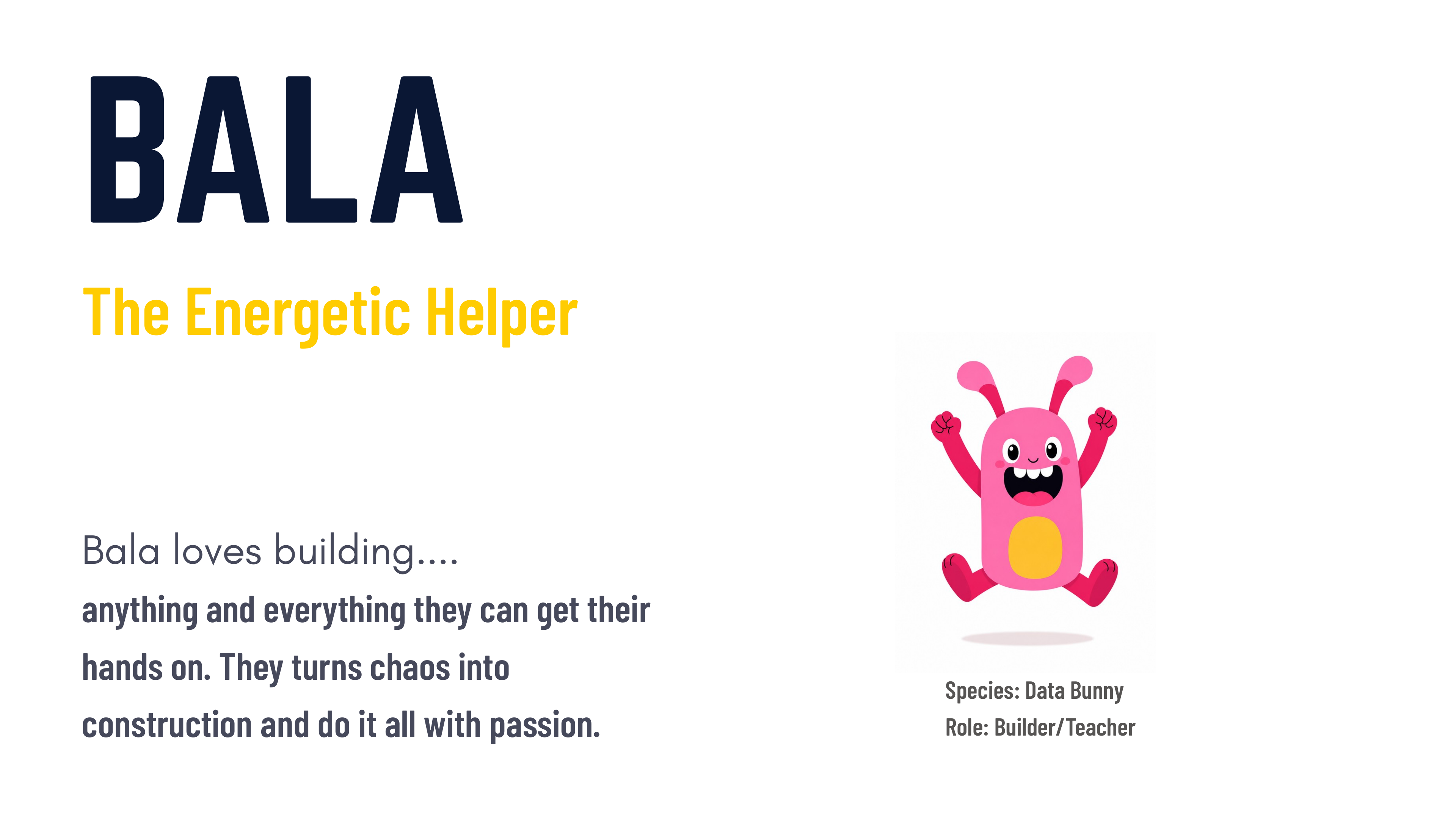 Bala, the energetic helper data bunny